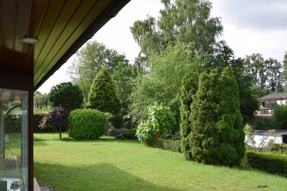 Blick in den Garten Einfamilienhaus Hamburg